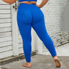 Aero Rise Leggings (Curvy)